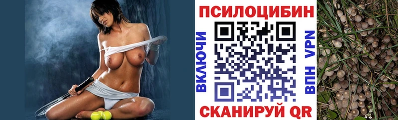 Псилоцибиновые грибы MAGIC MUSHROOMS  блэк спрут   Куйбышев 