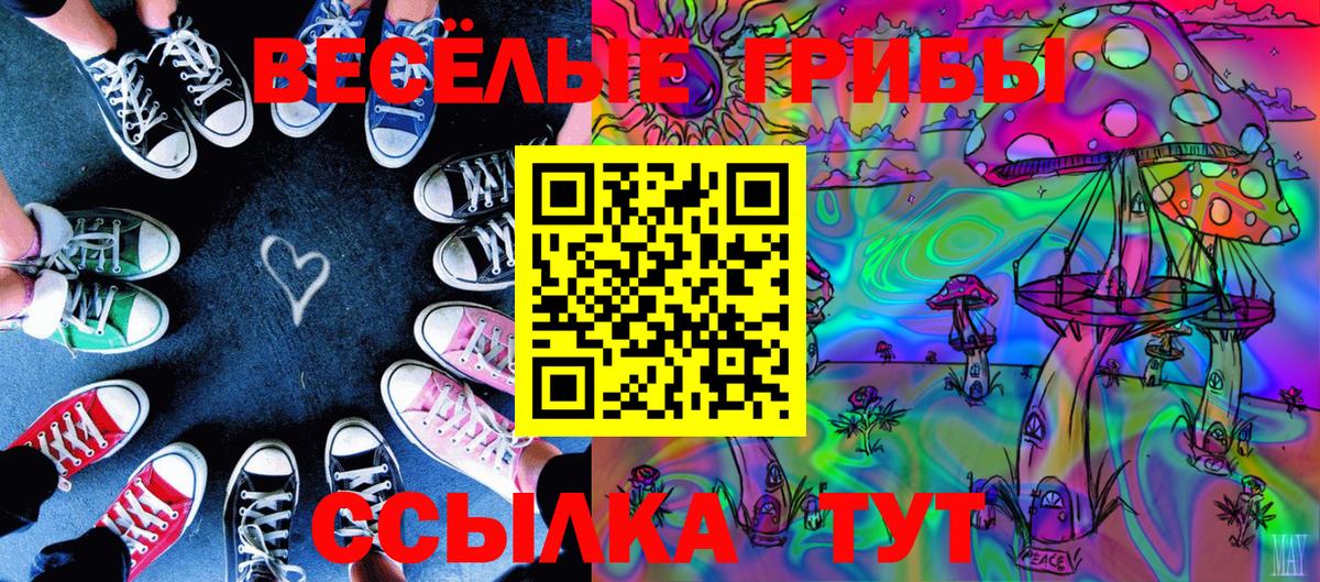 Куйбышев  Галлюциногенные грибы Psilocybe  Вход с VPN  Галлюциногенные грибы Cubensis 